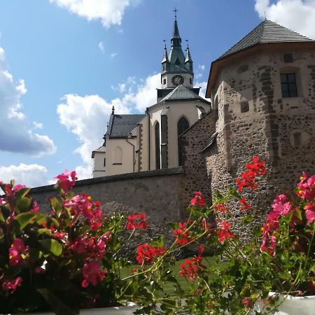 Pod Zamkom Appartement Kremnica Buitenkant foto