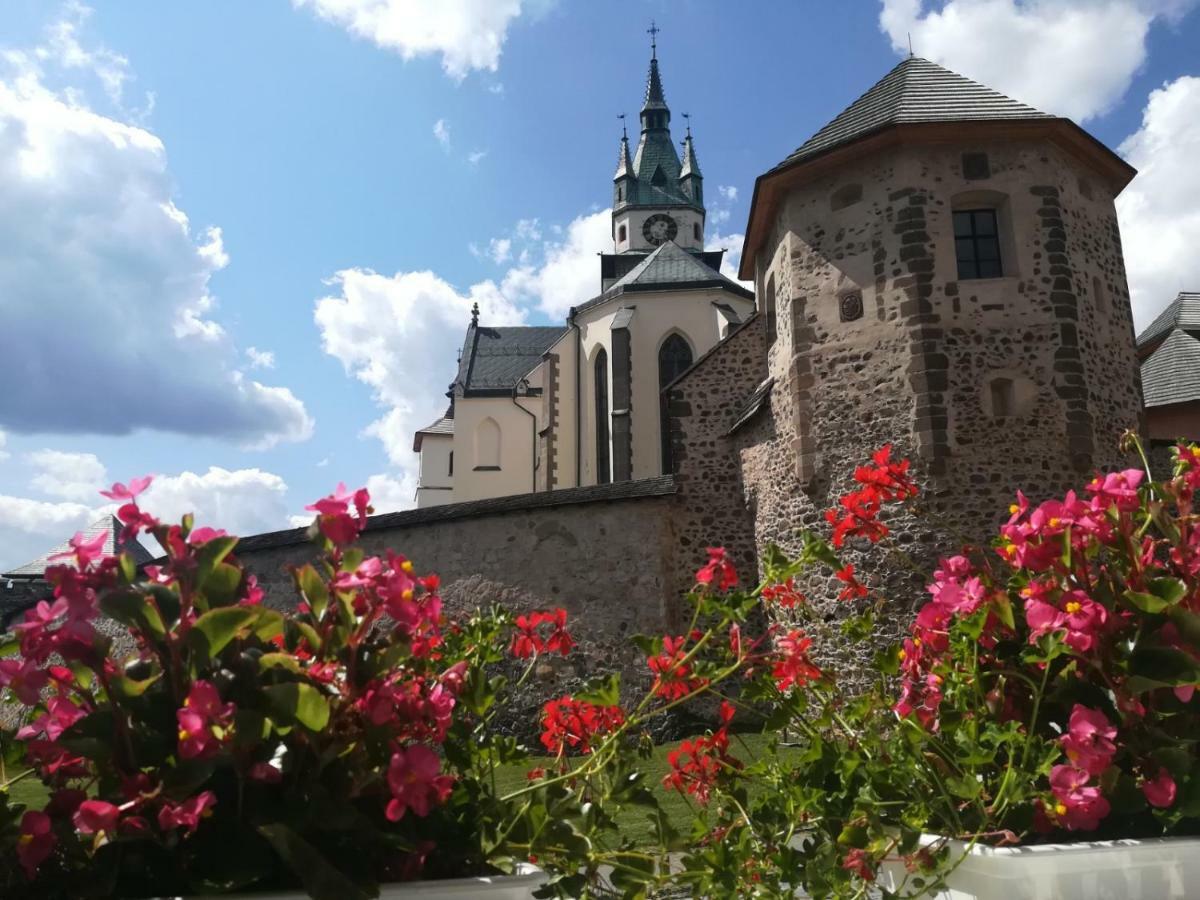 Pod Zamkom Appartement Kremnica Buitenkant foto